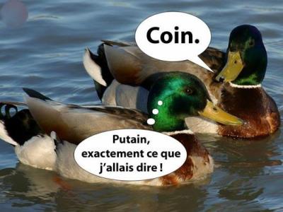 coin coin !