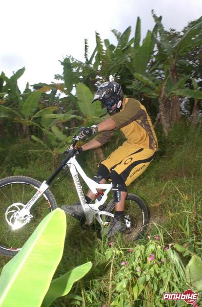 Cedric Gracia