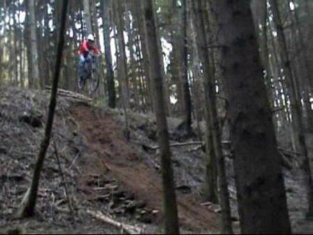 Dams gap