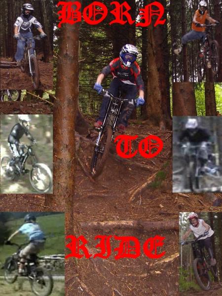 born to ride