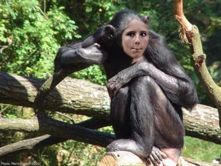 bonobo girl